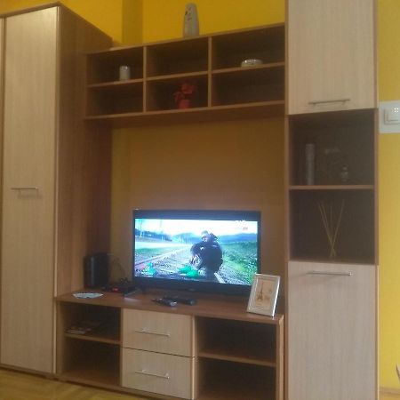Apartman Marina Sa Garazom Нови-Сад Экстерьер фото
