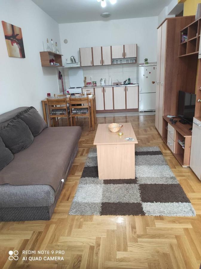 Apartman Marina Sa Garazom Нови-Сад Экстерьер фото