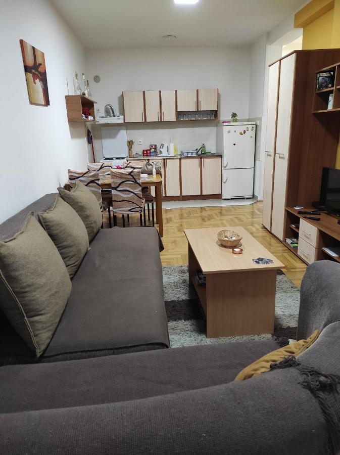 Apartman Marina Sa Garazom Нови-Сад Экстерьер фото