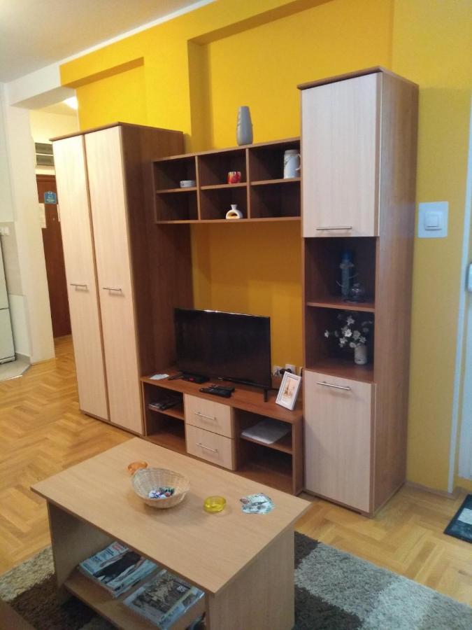 Apartman Marina Sa Garazom Нови-Сад Экстерьер фото